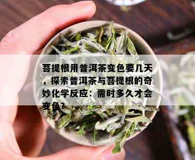 菩提根用普洱茶变色要几天，探索普洱茶与菩提根的奇妙化学反应：需时多久才会变色？