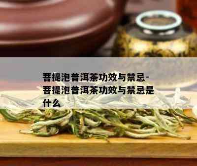 菩提泡普洱茶功效与禁忌-菩提泡普洱茶功效与禁忌是什么