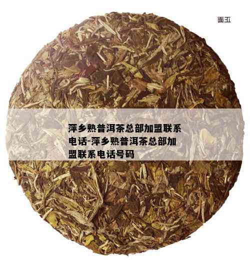 萍乡熟普洱茶总部加盟联系电话-萍乡熟普洱茶总部加盟联系电话号码