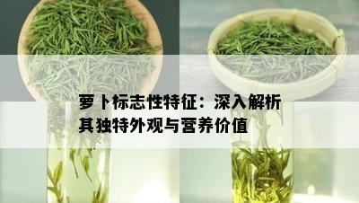 萝卜标志性特征：深入解析其独特外观与营养价值