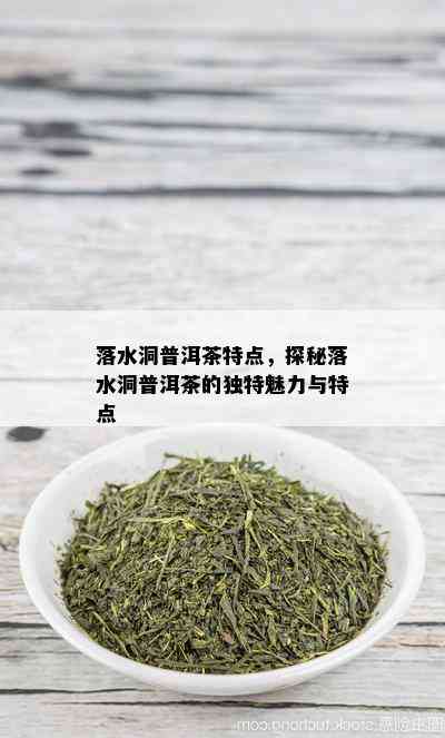 落水洞普洱茶特点，探秘落水洞普洱茶的独特魅力与特点