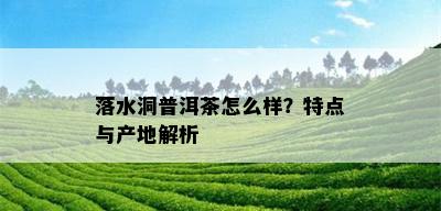 落水洞普洱茶怎么样？特点与产地解析