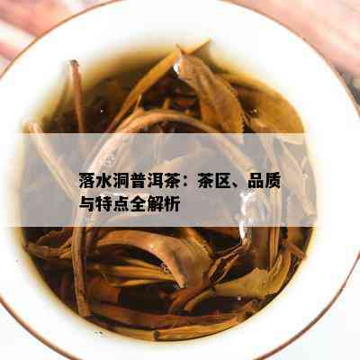 落水洞普洱茶：茶区、品质与特点全解析