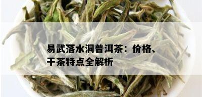 易武落水洞普洱茶：价格、干茶特点全解析