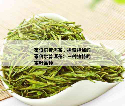 蒂伯尔普洱茶，探索神秘的蒂伯尔普洱茶：一种独特的茶叶品种