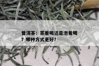 普洱茶：蒸着喝还是泡着喝？哪种方式更好？