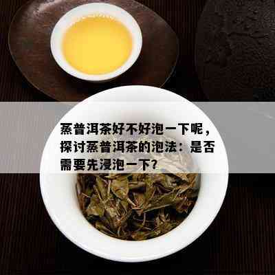 蒸普洱茶好不好泡一下呢，探讨蒸普洱茶的泡法：是否需要先浸泡一下？