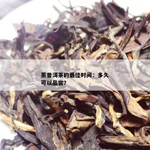 蒸普洱茶的更佳时间：多久可以品尝？