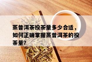 蒸普洱茶投茶量多少合适，如何正确掌握蒸普洱茶的投茶量？