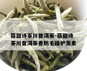 蓓甜诗茶川普洱茶-蓓甜诗茶川普洱茶香防毛躁护发素