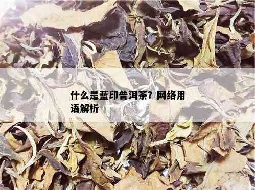 什么是蓝印普洱茶？网络用语解析