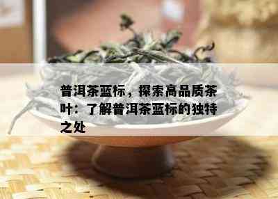 普洱茶蓝标，探索高品质茶叶：了解普洱茶蓝标的独特之处