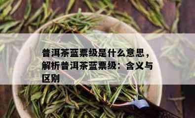 普洱茶蓝票级是什么意思，解析普洱茶蓝票级：含义与区别