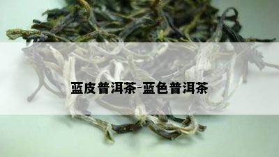 蓝皮普洱茶-蓝色普洱茶