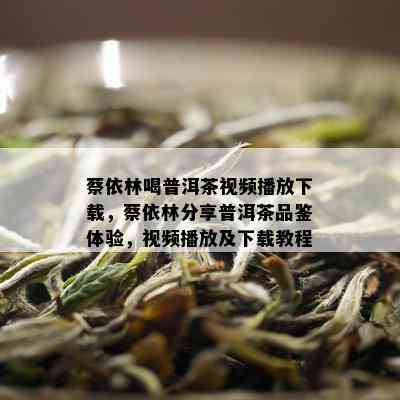 蔡依林喝普洱茶视频播放下载，蔡依林分享普洱茶品鉴体验，视频播放及下载教程