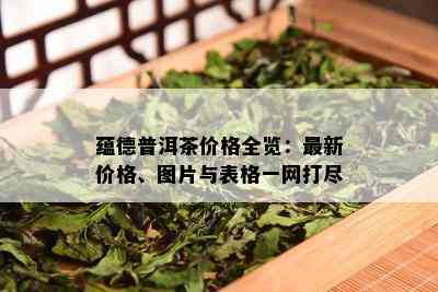 蕴德普洱茶价格全览：最新价格、图片与表格一网打尽