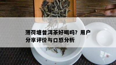 薄荷塘普洱茶好喝吗？用户分享评价与口感分析