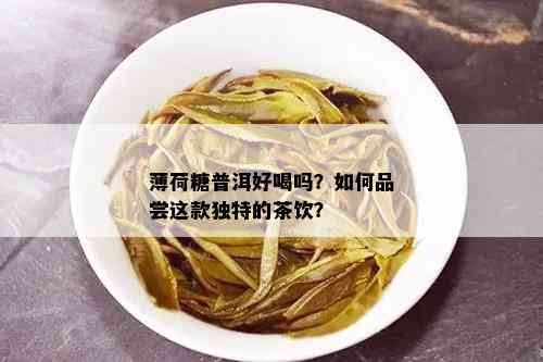 薄荷糖普洱好喝吗？如何品尝这款独特的茶饮？