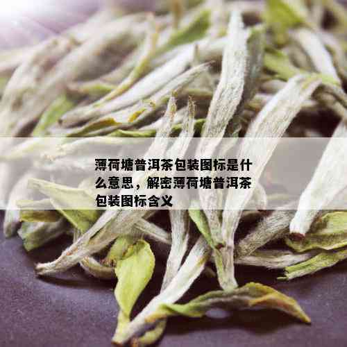 薄荷塘普洱茶包装图标是什么意思，解密薄荷塘普洱茶包装图标含义