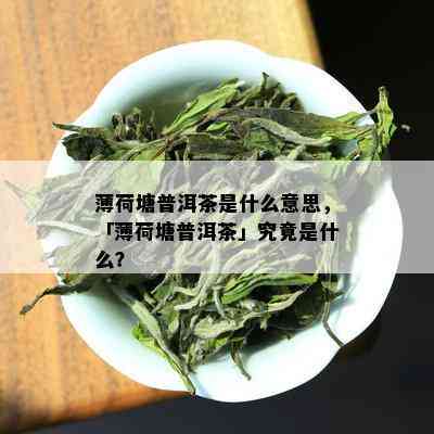 薄荷塘普洱茶是什么意思，「薄荷塘普洱茶」究竟是什么？