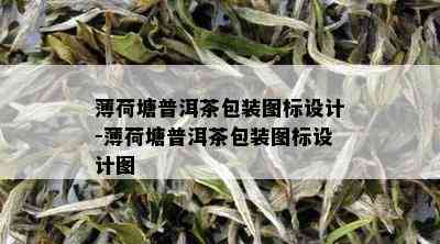 薄荷塘普洱茶包装图标设计-薄荷塘普洱茶包装图标设计图