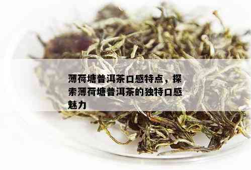 薄荷塘普洱茶口感特点，探索薄荷塘普洱茶的独特口感魅力