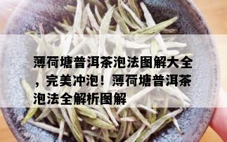 薄荷塘普洱茶泡法图解大全，完美冲泡！薄荷塘普洱茶泡法全解析图解