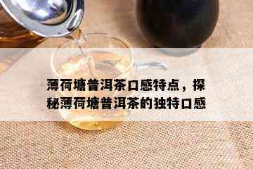 薄荷塘普洱茶口感特点，探秘薄荷塘普洱茶的独特口感