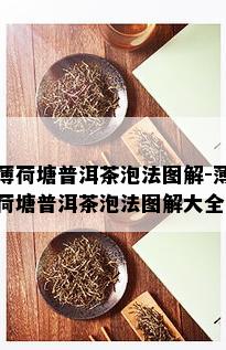 薄荷塘普洱茶泡法图解-薄荷塘普洱茶泡法图解大全