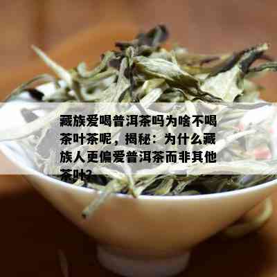 藏族爱喝普洱茶吗为啥不喝茶叶茶呢，揭秘：为什么藏族人更偏爱普洱茶而非其他茶叶？