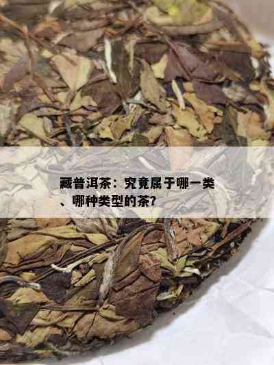 藏普洱茶：究竟属于哪一类、哪种类型的茶？