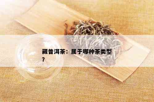 藏普洱茶：属于哪种茶类型？