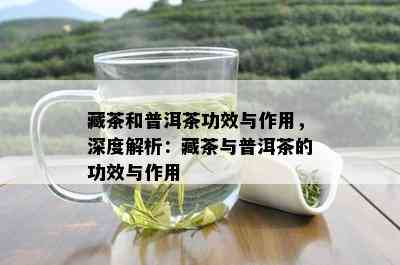 藏茶和普洱茶功效与作用，深度解析：藏茶与普洱茶的功效与作用