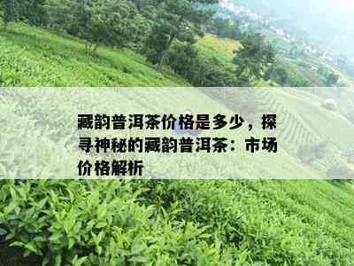 藏韵普洱茶价格是多少，探寻神秘的藏韵普洱茶：市场价格解析