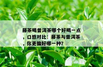 藤茶喝普洱茶哪个好喝一点，口感对比：藤茶与普洱茶，你更偏好哪一种？