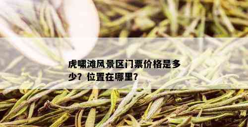 虎啸滩风景区门票价格是多少？位置在哪里？