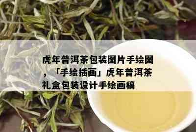 虎年普洱茶包装图片手绘图，「手绘插画」虎年普洱茶礼盒包装设计手绘画稿