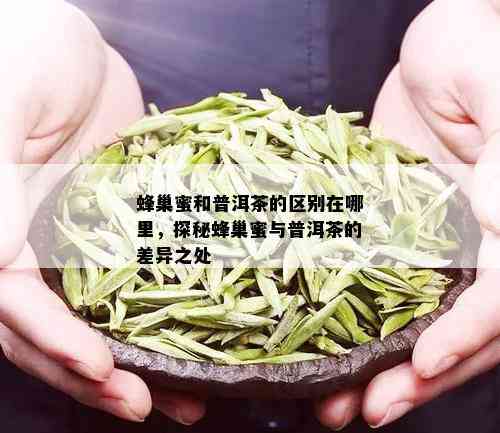 蜂巢蜜和普洱茶的区别在哪里，探秘蜂巢蜜与普洱茶的差异之处