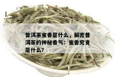 普洱茶蜜香是什么，解密普洱茶的神秘香气：蜜香究竟是什么？