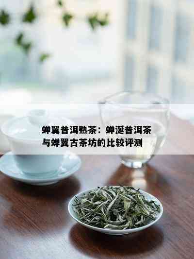 蝉翼普洱熟茶：蝉涎普洱茶与蝉翼古茶坊的比较评测