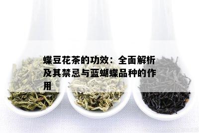 蝶豆花茶的功效：全面解析及其禁忌与蓝蝴蝶品种的作用