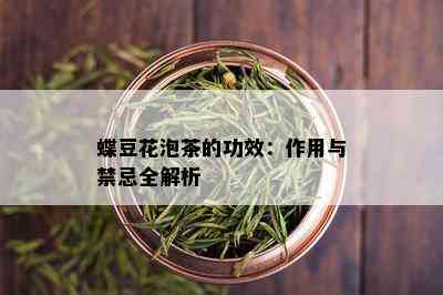 蝶豆花泡茶的功效：作用与禁忌全解析