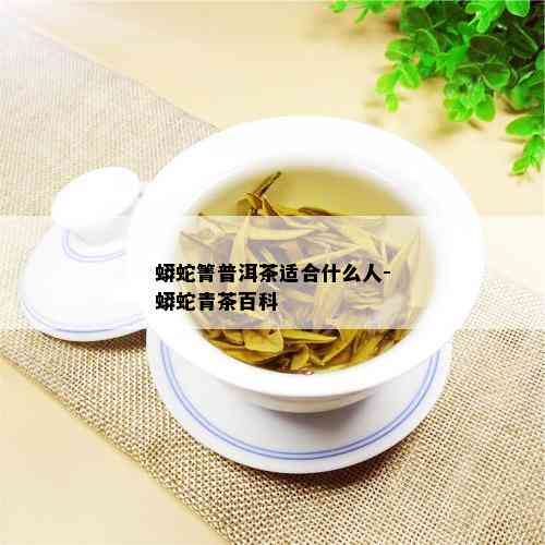 蟒蛇箐普洱茶适合什么人-蟒蛇青茶百科