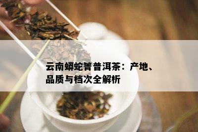 云南蟒蛇箐普洱茶：产地、品质与档次全解析