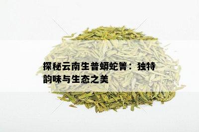 探秘云南生普蟒蛇箐：独特韵味与生态之美