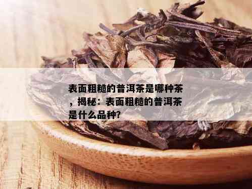 表面粗糙的普洱茶是哪种茶，揭秘：表面粗糙的普洱茶是什么品种？