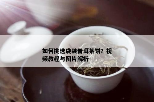 如何挑选袋装普洱茶饼？视频教程与图片解析