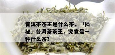 普洱茶茶王是什么茶，「揭秘」普洱茶茶王，究竟是一种什么茶？