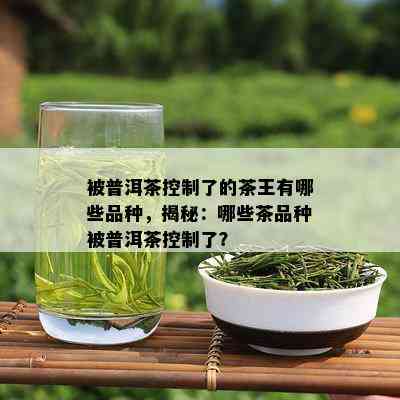 被普洱茶控制了的茶王有哪些品种，揭秘：哪些茶品种被普洱茶控制了？