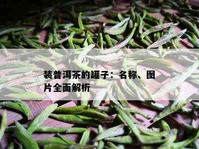 装普洱茶的罐子：名称、图片全面解析